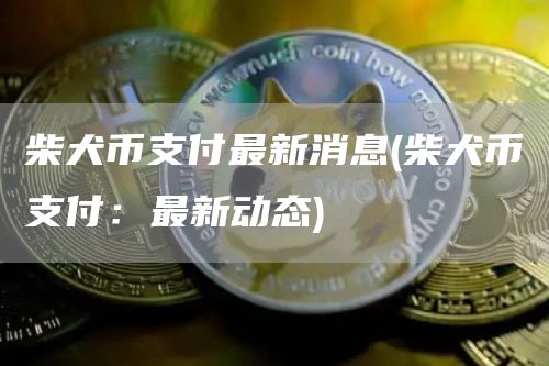 柴犬币支付最新消息 - 柴犬币支付：最新动态